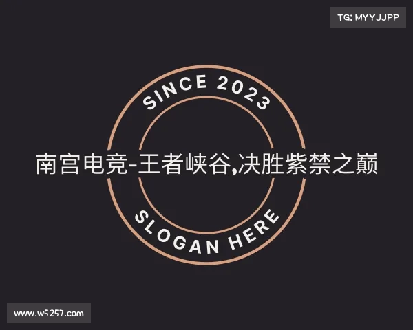 介绍南宫电竞-王者峡谷,决胜紫禁之巅